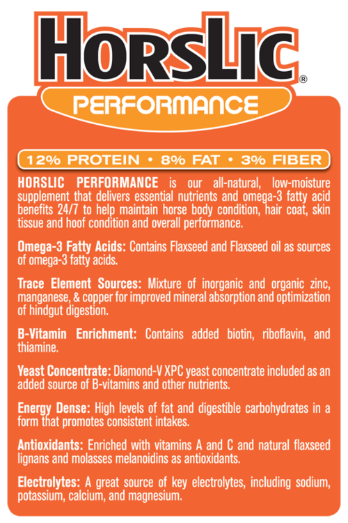 HorsLic - Performance