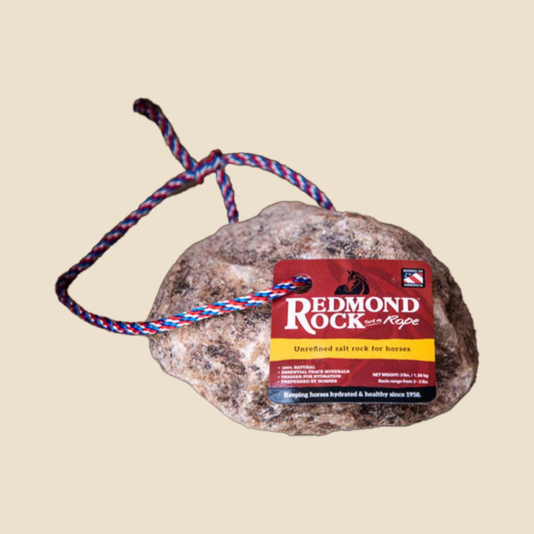 Redmond Rock on a Rope